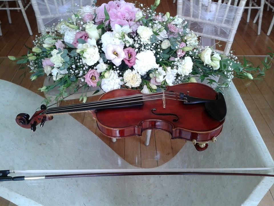 solo violinist bristol bath gloucestershire wiltshire wedding